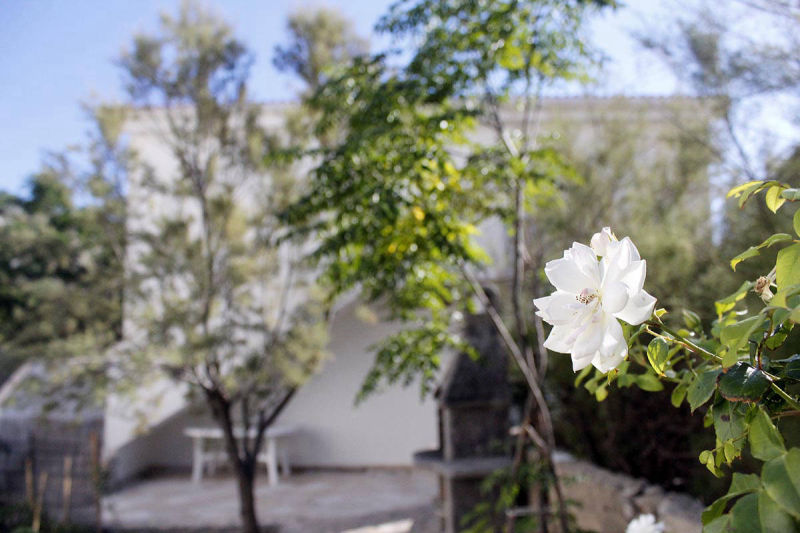 Podvornica apartments Metajna